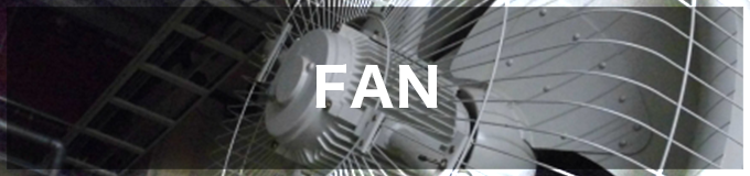 spbn6